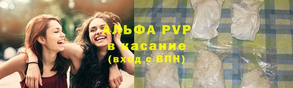стафф Бронницы