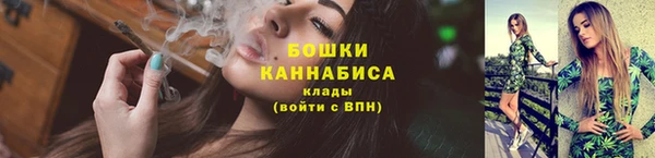 кокс Богородицк