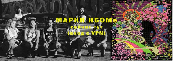 кокс Богородицк